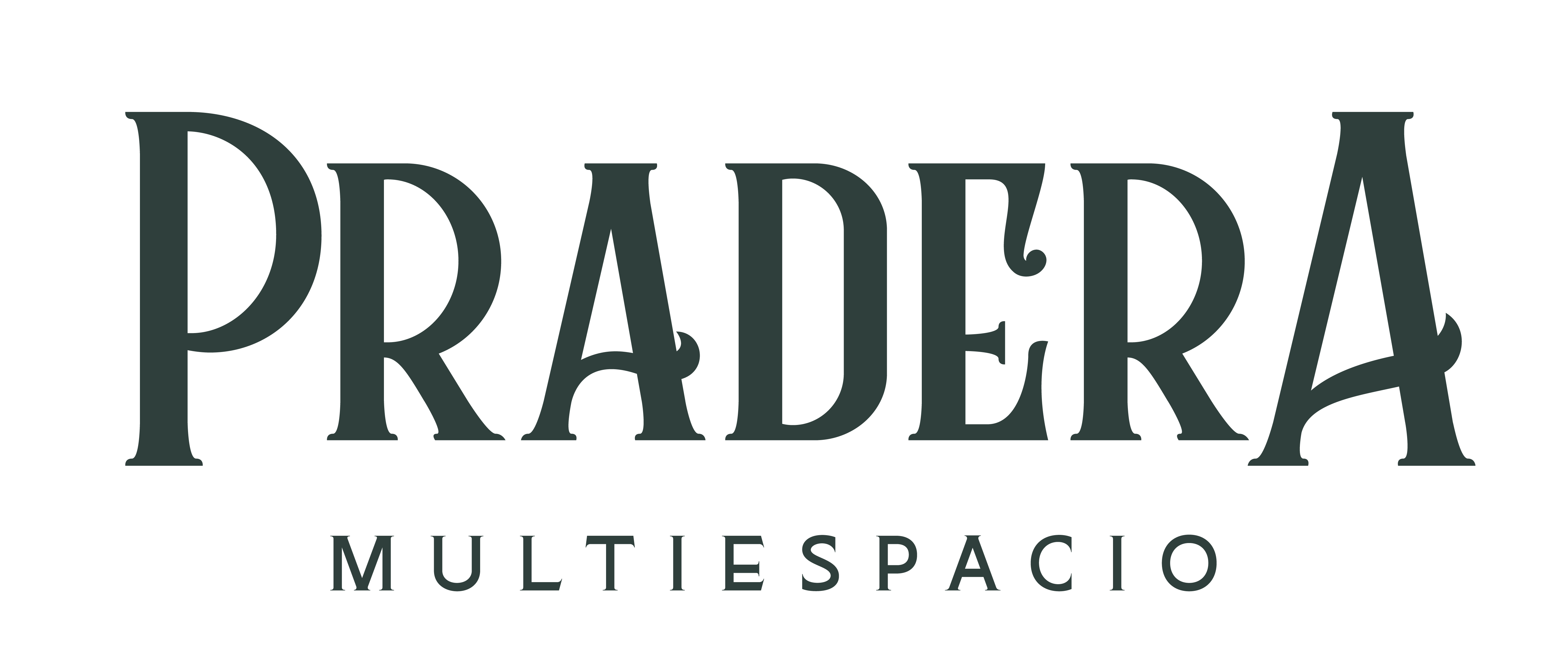 Pradera Multiespacio